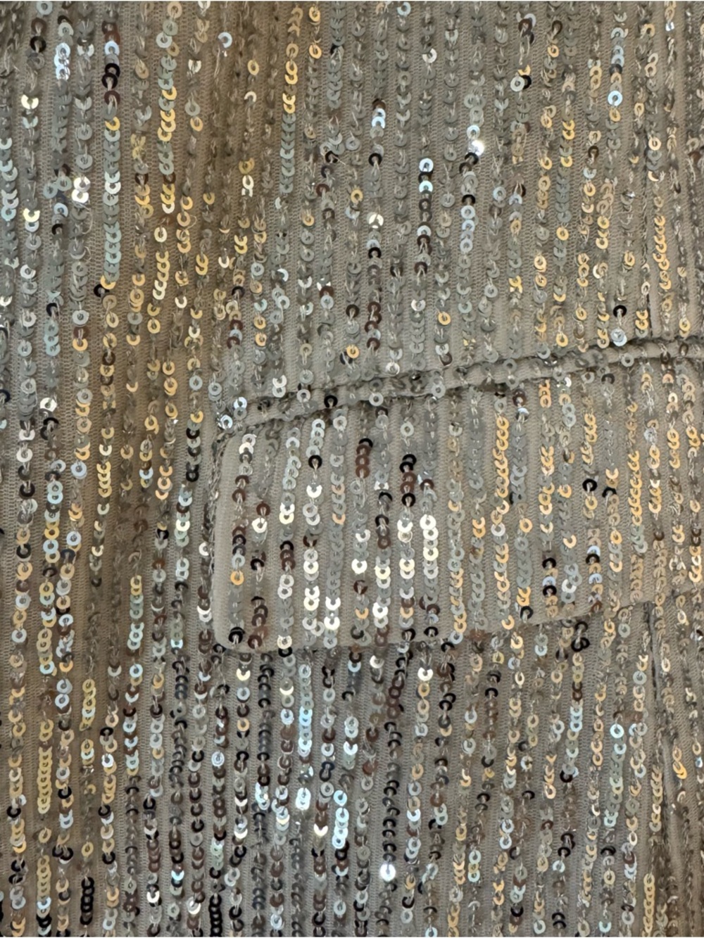 LOFT Ivory Sequin Blazer Jacket - Picture 5 of 10